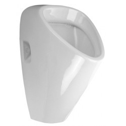 Urinal with a concealed automatic rinse 